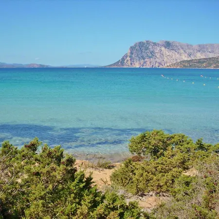 Stunning Bouganvillage Bedroom Num1313 公寓 塔瑙内拉