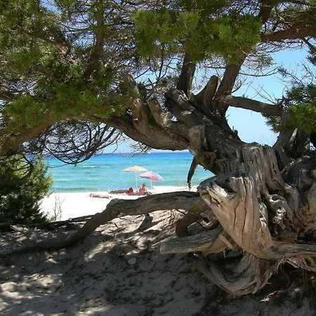 Stunning Bouganvillage Bedroom Num1313 公寓 塔瑙内拉